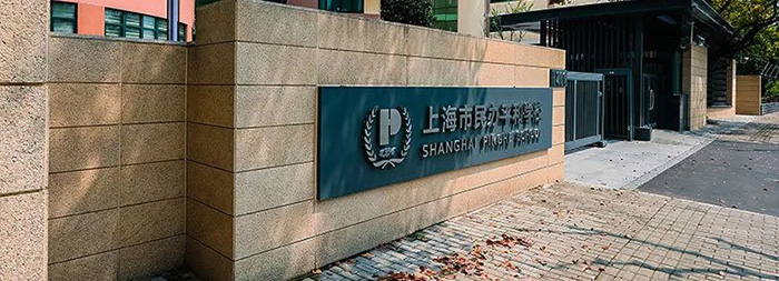 上海世外和平和学校对比，均为沪上IB热门学校