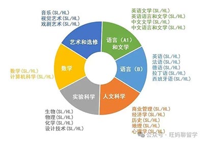 三大主流国际课程体系AP、ALevel、IB哪个补课多