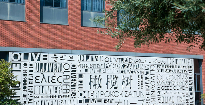 3 杭州民办双语国际学校小学2025年招生简章1.jpg