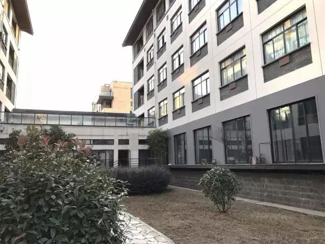 浙江常春藤国际学校